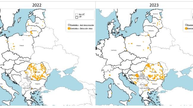 Répartition spatiale des foyers de PPA chez les porcs d'élevage confirmés en 2022 (à gauche) et 2023 (à droite). Source : ADIS, consulté au 1er février 2024. © EuroGeographics pour les limites administratives.