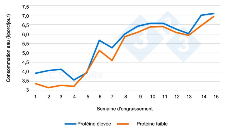 Figure 1 : &Eacute;volution de la consommation d'eau par traitement tout au long de la p&eacute;riode d'engraissement.
