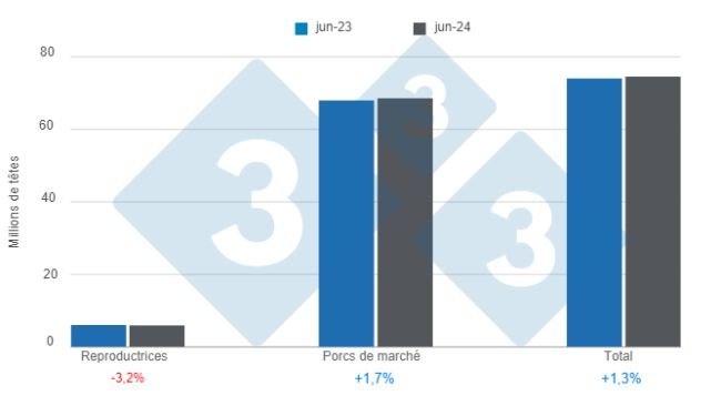 Graphique 1 : Effectif porcin américain au 1er juin 2024, variations annuelles. Elaboré par le Service Economie et Intelligence des Marchés de 333 Amérique Latine selon les données de l'USDA - NASS.