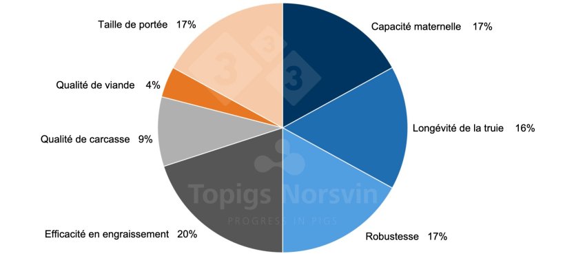 Figure 1 : L'objectif de s&eacute;lection en 2023 pour la truie TN70 comprend 41 caract&egrave;res diff&eacute;rents. L'objectif de s&eacute;lection refl&egrave;te notre vision du TN70 en tant que truie hyperprolifique hautement autosuffisante qui se diff&eacute;rencie par ses capacit&eacute;s maternelles et sa rusticit&eacute; accrues.
