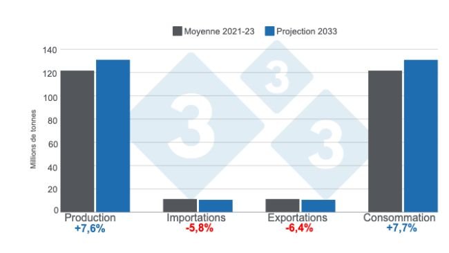 Graphique 1. Projections de production, importations, exportations et consommation de viande de porc pour l'année 2033 - variations projetées 2033 par rapport à la moyenne 2021 - 2023. Préparé par le Service Economie et Intelligence des marchés de 333 Amérique latine selon des données de l'OCDE - FAO Perspectives agricoles 2024 - 2033. 