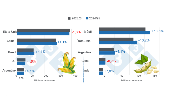 Graphique 1. Pr&eacute;visions de r&eacute;colte pour les principaux producteurs mondiaux de ma&iuml;s et de soja &ndash; campagne 2024/25 versus cycle 2023/24 &ndash; derni&egrave;re mise &agrave; jour : 12 ao&ucirc;t 2024. &Eacute;labor&eacute; par le D&eacute;partement d'&Eacute;conomie et d'Intelligence des March&eacute;s avec des donn&eacute;es de FAS &ndash; USDA.
