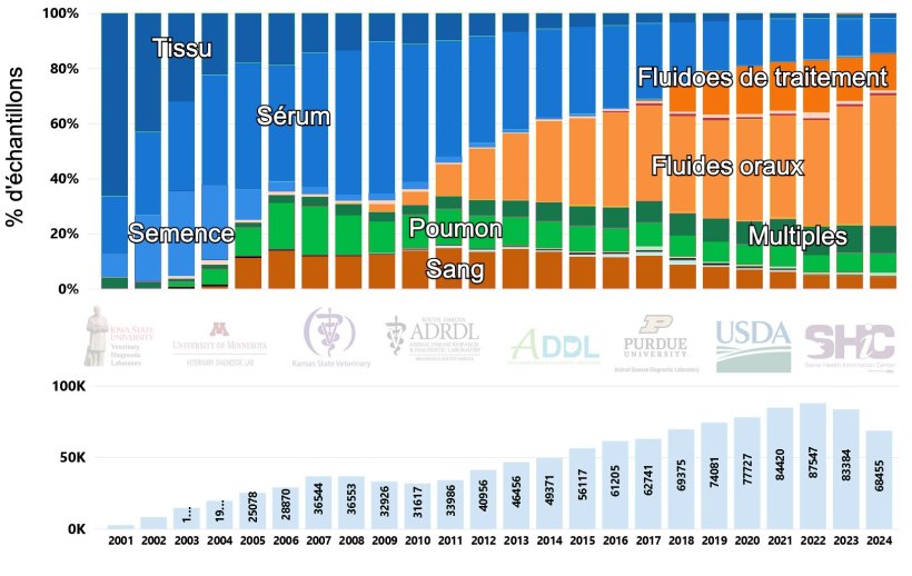 Figure 1. Nombre de cas et r&eacute;partition en pourcentage des &eacute;chantillons test&eacute;s pour le SDRPV par RT-PCR au fil du temps aux &Eacute;tats-Unis (2001-2024). Image extraite du site web du Swine Disease Reporting System (SDRS, https://fieldepi.org/domestic-swine-disease-monitoring-program/).
