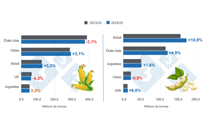 Graphique 1 : Projection de récolte des principaux producteurs mondiaux de maïs et de soja - Campagne 2024/25 versus cycle 2023/24 - dernière mise à jour : 11 février 2025. Préparé par le Département d'Économie et de Durabilité de 333 Amérique Latine avec les données du FAS - USDA