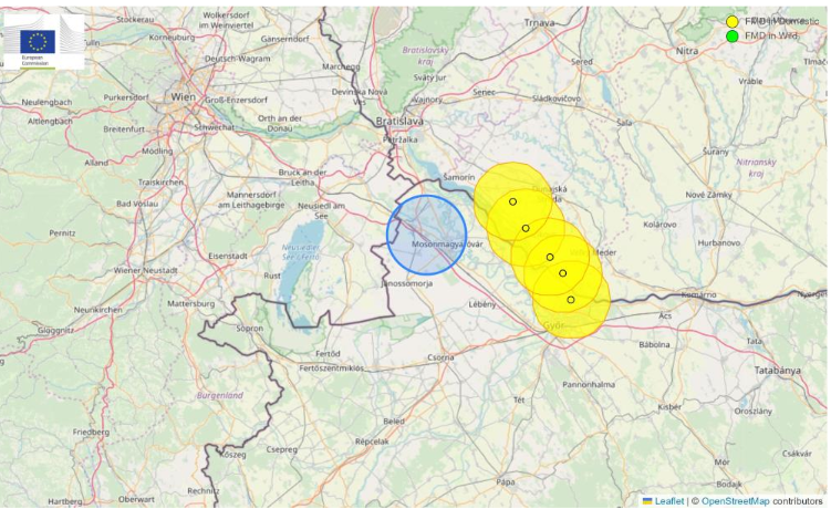 Localisation des 5 foyers signal&eacute;s pr&eacute;c&eacute;demment (4 en Slovaquie et 1 en Hongrie), avec les zones de restriction (en jaune) et le dernier foyer signal&eacute; par la Hongrie (en bleu). Source : Minist&egrave;re espagnol de l'Agriculture, de la P&ecirc;che et de l'Alimentation.
