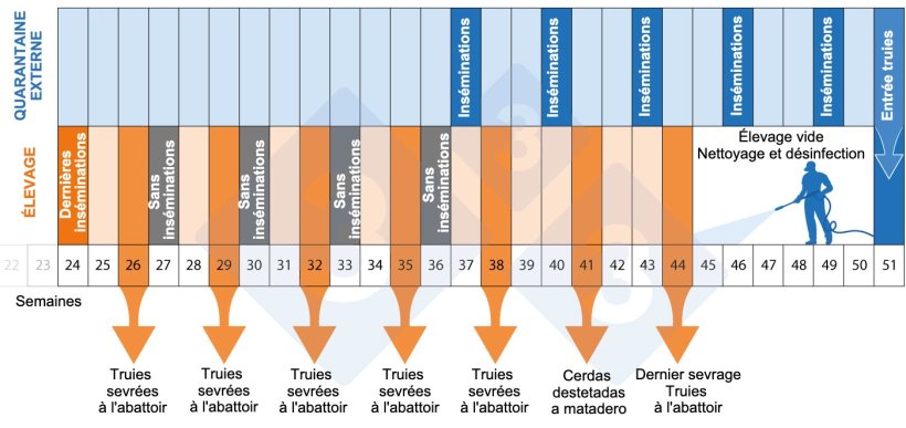 Figure 2.Calendrier du programme de d&eacute;peuplement-repeuplement
