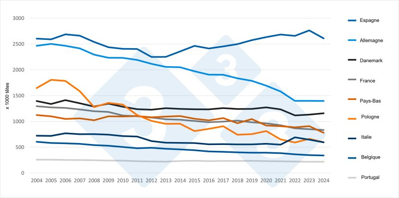 Évolution du nombre de truies dans les principaux pays producteurs de l’UE (2004-2024). Source : 333 d’après les données d’Eurostat.