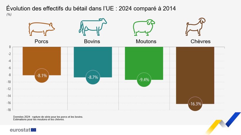Évolution du cheptel dans l’UE. Source : Eurostat.