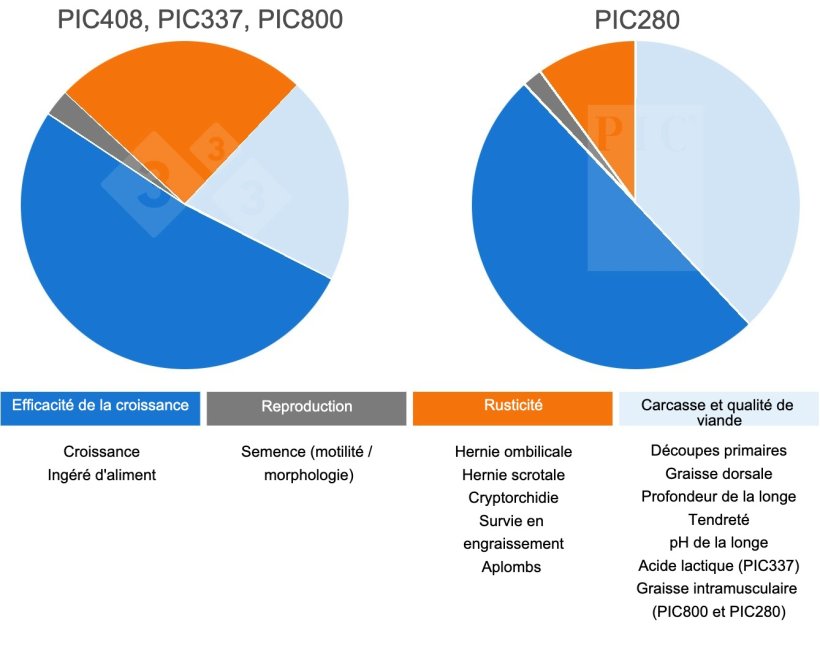 Objectifs de sélection dans les lignées terminales PIC