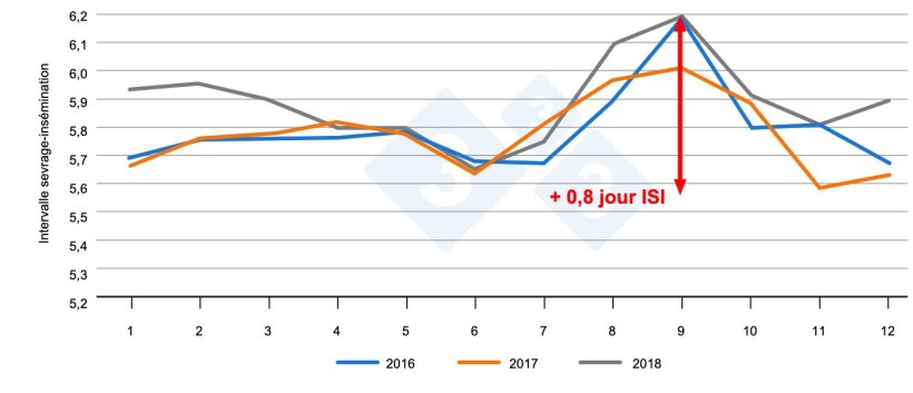Figure 1. Intervalle entre le sevrage et l’insémination en fonction du mois de l'année. Source : PigChamp Pro Europa