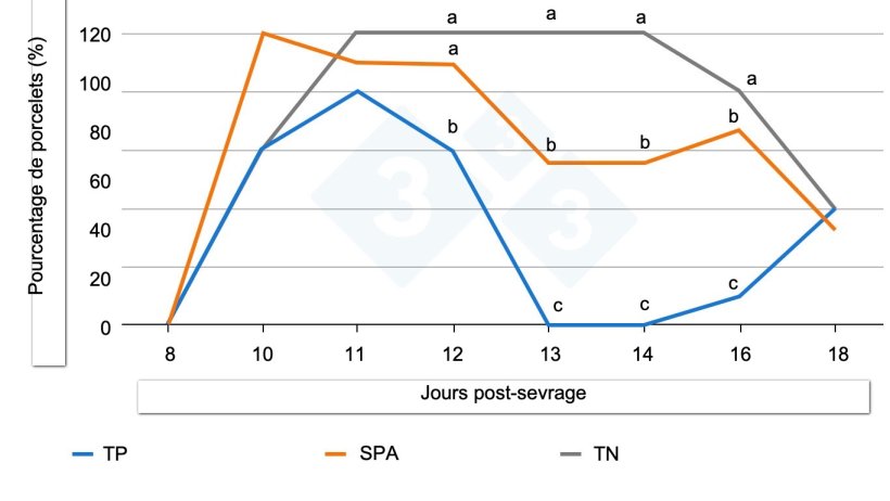 Figure 2. Effet de l'inoculation de F4-ETEC (10 jours après le sevrage) et pourcentage de porcelets excrétant la bactérie (Source : Torres-Pitarch et al., 2025). Les lettres différentes pour chaque jour représentent des différences significatives (p < 0,05). CP = témoin positif (colistine), CN = témoin négatif, SPA = solution phytogénique pour aliments.
La colistine (Colisol 250 000 UI/ml) a été utilisée comme témoin positif et administrée dans l'eau de boisson entre le jour 8 et le jour 14 après sevrage. La colistine a été utilisée comme référence contre E. coli, malgré les restrictions actuelles concernant son utilisation.