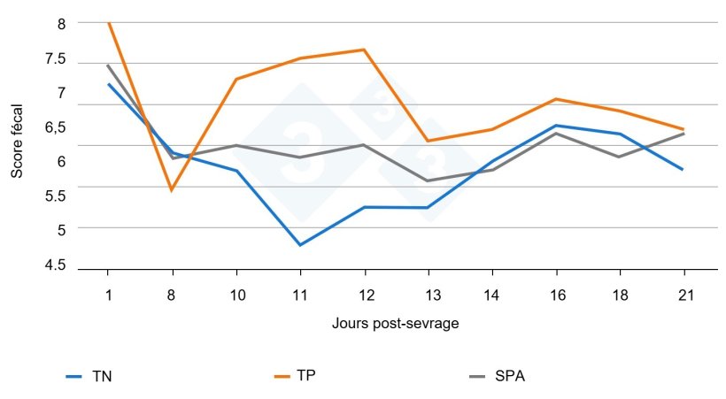 Figure 3. Effet du traitement et son interaction avec le jour sur la consistance fécale tout au long de la période expérimentale. L'inoculation a eu lieu le 9e jour après le sevrage. CP = témoin positif, CN = témoin négatif, SFP = solution phytogénique pour aliments.