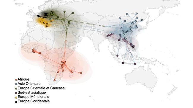 Figure 2. Propagation mondiale du virus de la PPA (Rossi et al. bioRxiv 2025).
