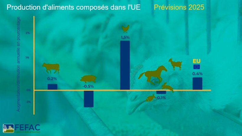 March&eacute; de la production d'aliments compos&eacute;s dans l'UE pour 2025. Source : FEFAC.
