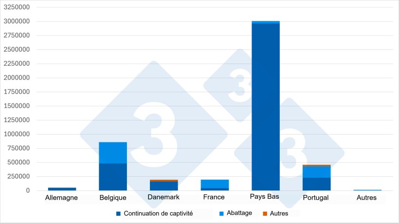 Graphique 2. Fournisseurs de porcs vivants en Espagne par cat&eacute;gorie d'animal (2025). Source : 333 &agrave; partir des donn&eacute;es du MAPA.
