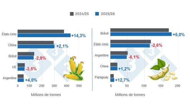 Graphique 1 : Prévisions de récolte pour les principaux producteurs mondiaux de maïs et de soja – Campagne 2025/26 par rapport au cycle 2024/25 – Dernière mise à jour : 10 mars 2026. Préparé par le Département Économie et Développement durable de 333 Amérique latine à partir de données du FAS-USDA.