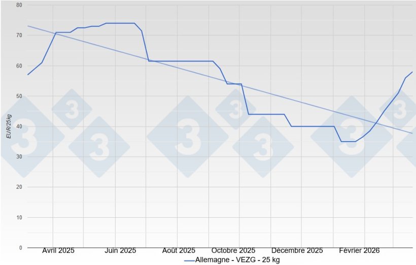 Piglet price in Germany - VEZG - 25 kg