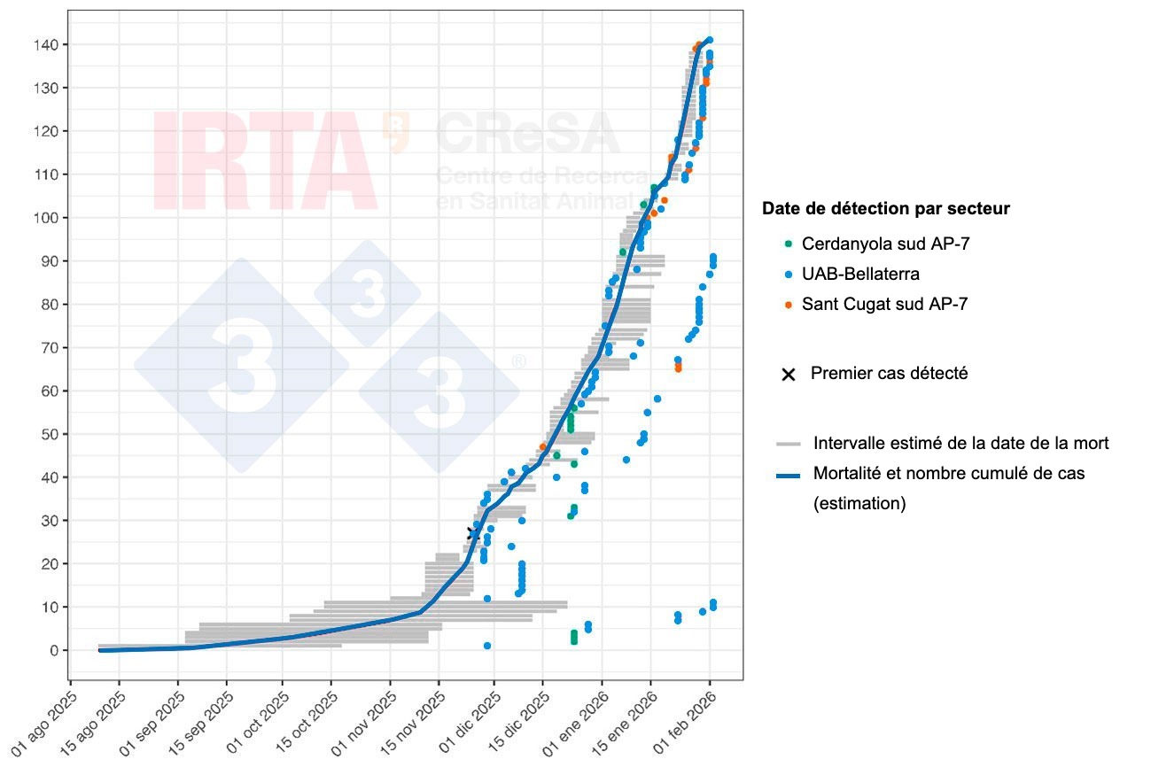 <p>Figure 2. Reconstitution chronologique de la mortalit&eacute; et des cas de PPA chez les sangliers lors de l'&eacute;pid&eacute;mie de Collserola. Les lignes horizontales grises repr&eacute;sentent les intervalles de mortalit&eacute; estim&eacute;s pour chaque animal. Les points indiquent la date &agrave; laquelle la carcasse ou l'animal malade a &eacute;t&eacute; d&eacute;tect&eacute;. La couleur de chaque point permet d'identifier la zone g&eacute;ographique o&ugrave; la d&eacute;couverte a &eacute;t&eacute; faite (vert, secteur Cerdanyola sud de l'AP7 ; bleu, secteur Bellaterra-campus UAB et orange, Sant Cugat sud de l'AP7). La croix marque le premier cas d&eacute;tect&eacute;. La ligne bleue repr&eacute;sente la courbe cumul&eacute;e de la mortalit&eacute; et des cas de PPA.</p>
