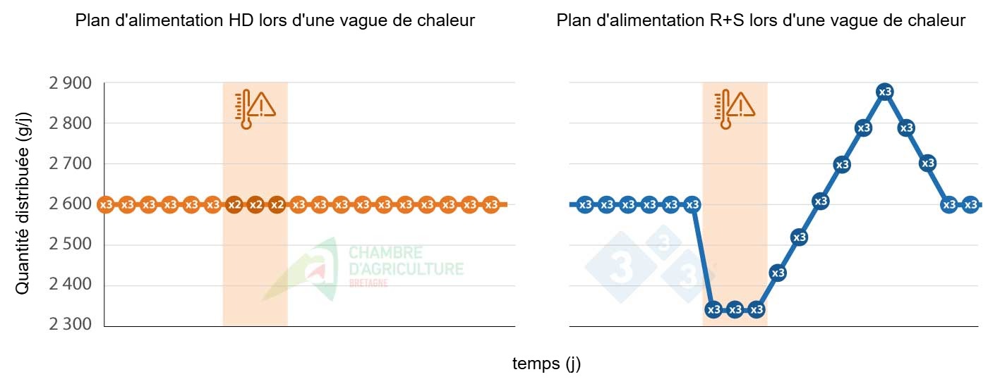 Exemple de plan d'alimentation lors d'une vague de chaleur. Source : CAB