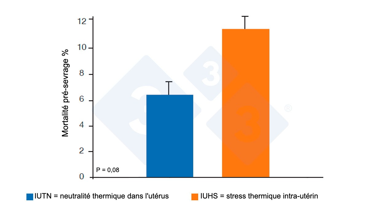 <p>Figure 3. Mortalit&eacute; avant le sevrage des primipares expos&eacute;es &agrave; l'IUHS. Source : Safranski et al., 2015.</p>
