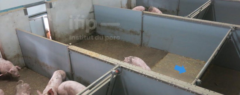 Zone intérieure du bâtiment en gisoir intégral mais avec une surface évolutive pour s’assurer qu’elle reste une zone de couchage propre