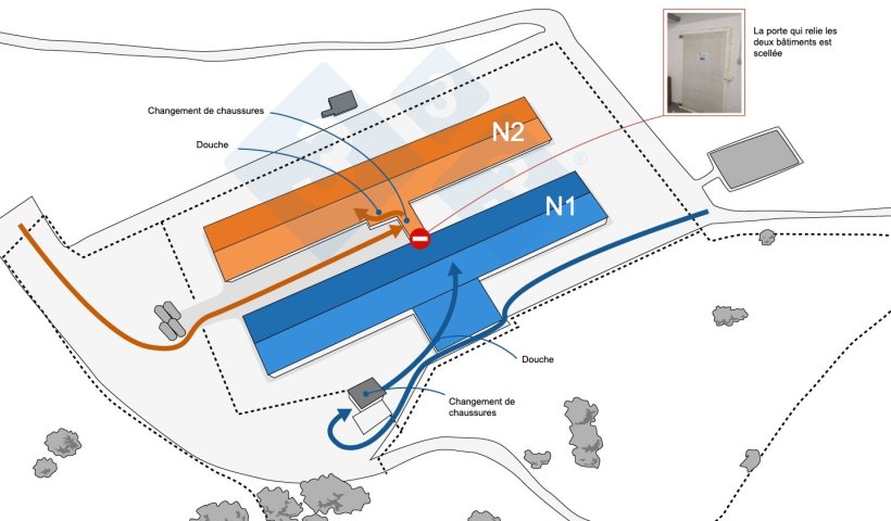 Figure 2. Modification du flux de personnel après un résultat positif au SDRP.