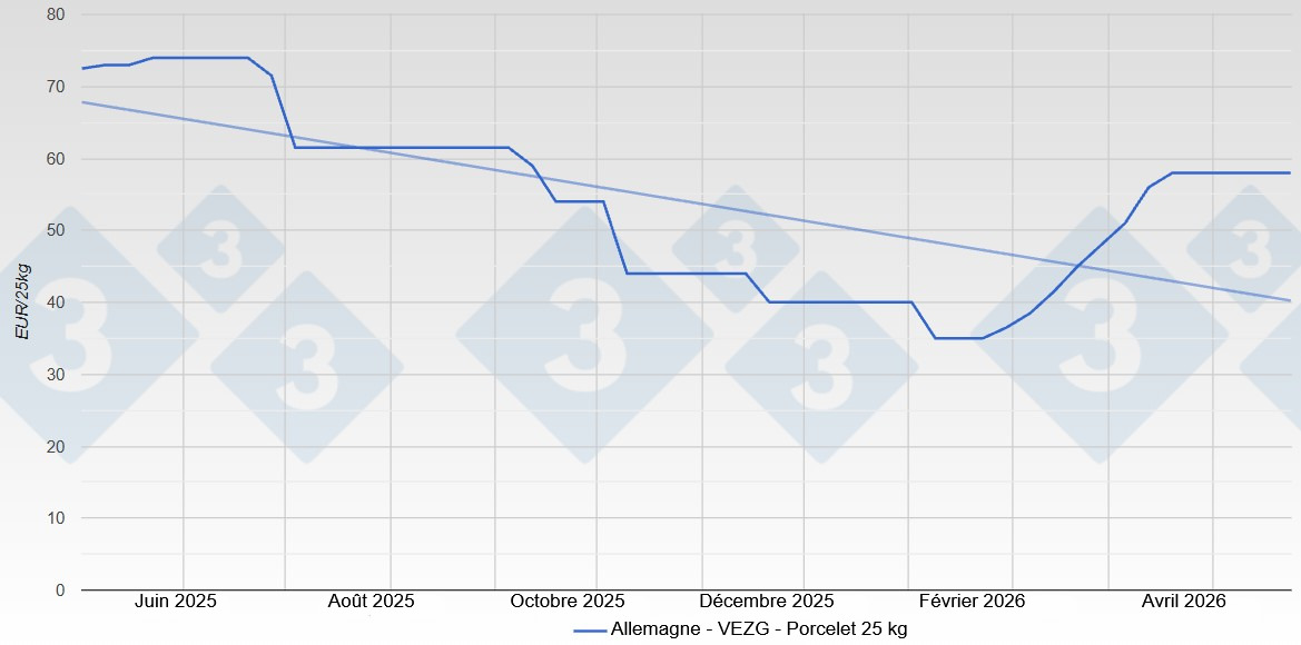 Piglet price in Germany - VEZG - 25 kg