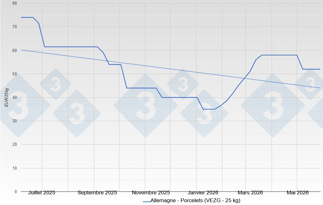 Piglet price in Germany - VEZG - 25 kg