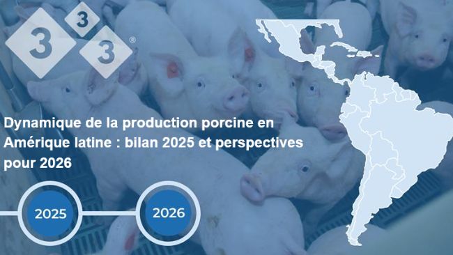 Din&aacute;mica de la porcicultura latinoamericana: Balance 2025 y perspectivas 2026
