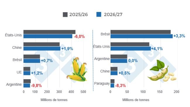 Graphique 1. Prévisions de récolte des principaux producteurs mondiaux de maïs et de soja – campagne 2026/2027 par rapport à la campagne 2025/2026 – dernière mise à jour : 11 juin 2026.
Élaboré par le Département Économie et Durabilité de 333 Amérique latine à partir des données du FAS-USDA.