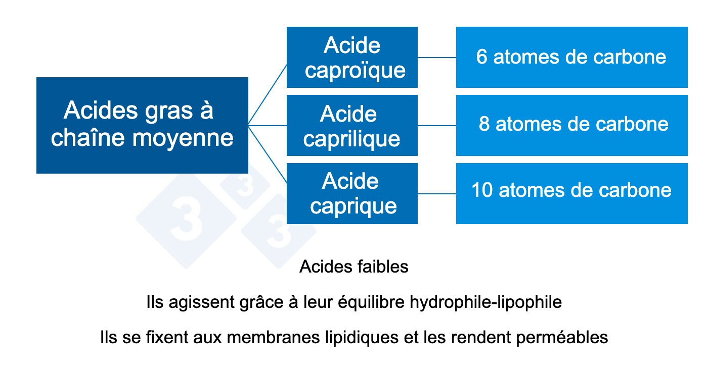 <p>Graphique 2 : Acides organiques à chaîne moyenne.</p>