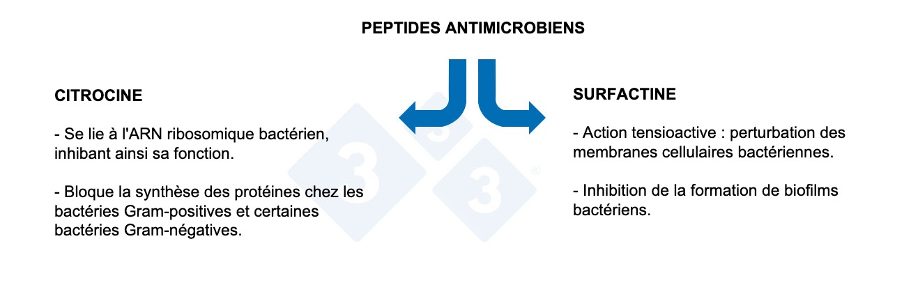 <p>Graphique 3 : Propriétés des peptides antimicrobiens.</p>