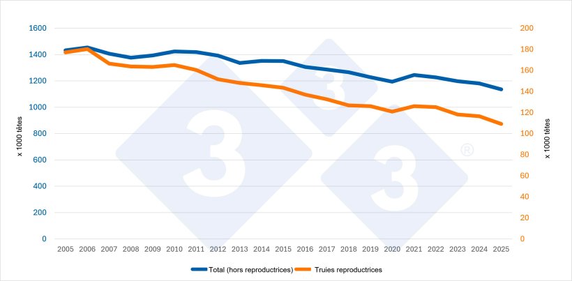 Évolution du cheptel porcin total (hors reproductrices) et du cheptel de truies reproductrices en Suisse. Source : 333 d’après les données d’Eurostat.