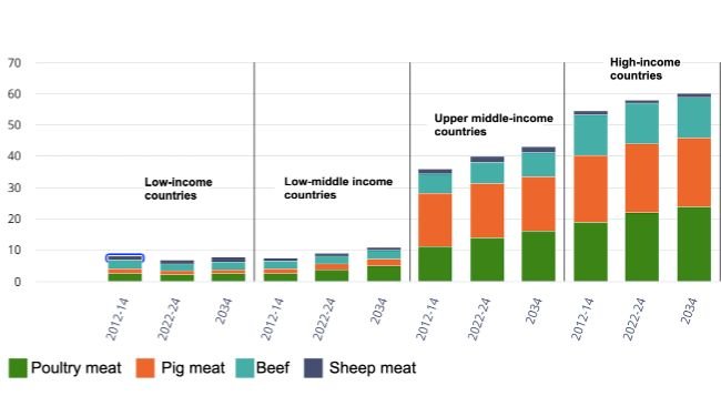 Per capita meat consumption by income group and meat type. Kilograms/person/year (retail weight equivalent). Source: OECD/FAO (2025), "OECD-FAO Agricultural Outlook", OECD Agriculture statistics (database), http://data-explorer/oecd.org/s/1hc.