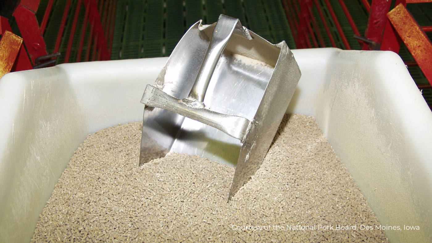 Feed Ruler Vulnerabilities in U.S. feed supply chain revealed in IFEEDER report ...