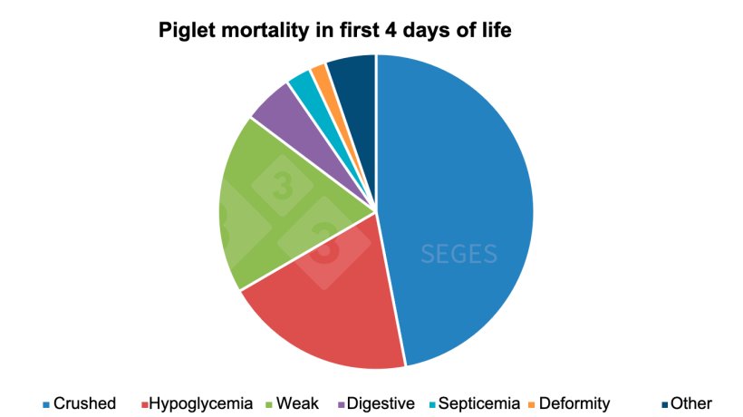 Graph 1. Etiology of nursing piglet mortality in the first few days of life&nbsp;(SEGES, 2017).
