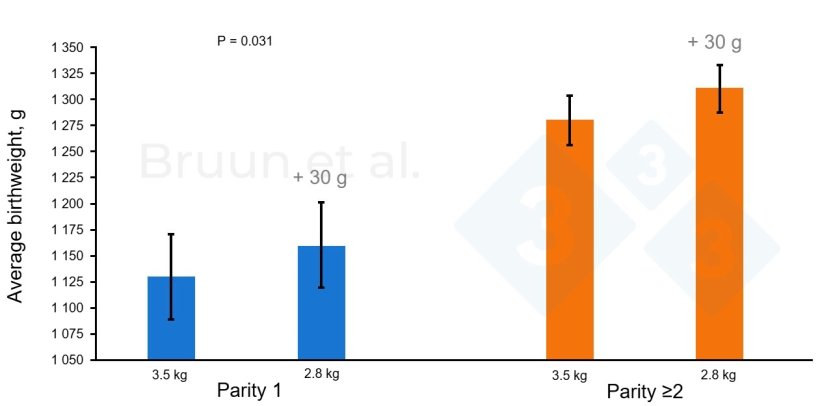 Figure 1. Bump feeding (day 84 to day 112 of gestation). Adapted from Bruun et al., 2024: Landbrugsinfo. Publication n&ordm; 1206.
