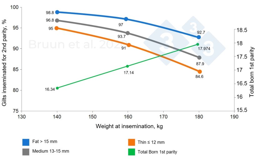 Relationship between the weight and backfat level of the gilt at first mating and her subsequent productive life and longevity. Bruun et al. (2020): Trial report n&ordm; 1206, SEGES Innovation