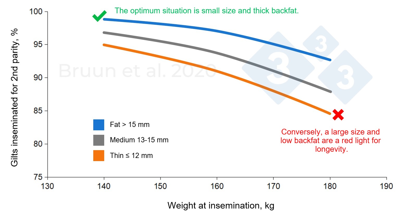 Relationship between the weight and backfat level of the gilt at first mating and her subsequent productive life and longevity.