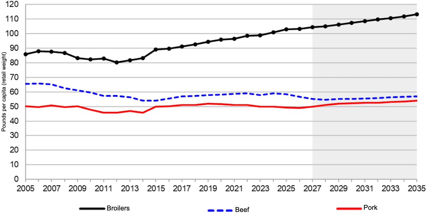 U.S. per capita meat consumption, 2005-2035. Source: USDA