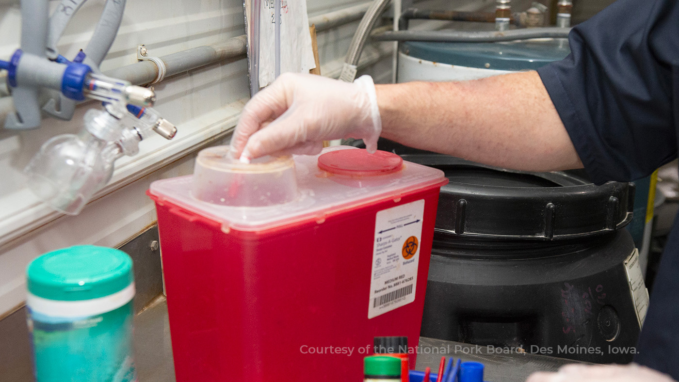 <p>Figure 8. Sharps containers. Photo courtesy of National Pork Board, Des Moines, Iowa.</p>