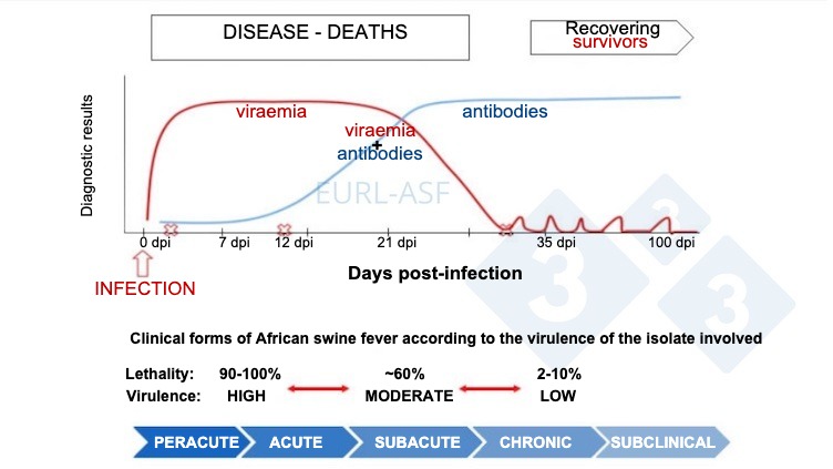 Figure 1.&nbsp;Schematic of viral and antibody detection as well as the variability in virulence of isolates post exposure to ASF. Source: European Union Reference Laboratory for African swine fever.
