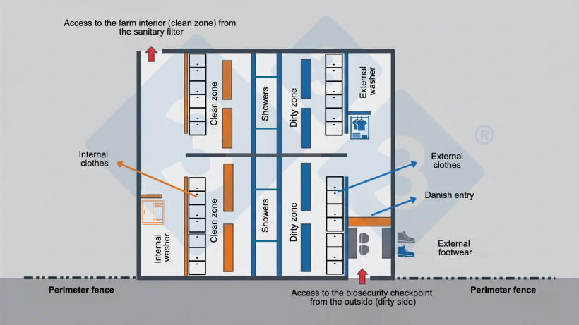 Figure 2. Diagram of a biosecurity checkpoint&nbsp;showing the physical separation achieved using Danish entries to keep footwear outside the changing area, as well as the required sequence: dirty zone, showers, and clean zone.
