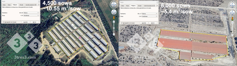 Figure 1. Comparison of spatial distribution between a farm with 4,500 sows (left) and a farm with 6,000 sows (right).
