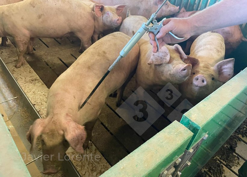 Photo 3 : point d'application correct.
