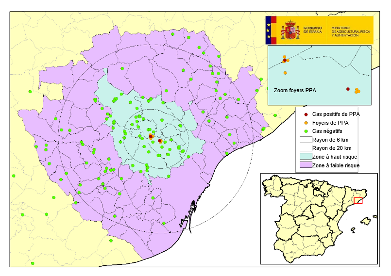 Localisation des 9 foyers chez les sangliers sauvages et des sangliers retrouvés morts négatifs détectés en Catalogne (Source : MAPA).