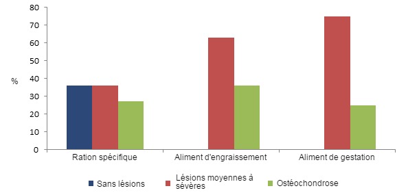 Figure 2&nbsp;: Pr&eacute;valence des l&eacute;sions de pieds chez les truies de renouvellement en fonction de la ration consomm&eacute;e pendant leur d&eacute;veloppement. La consommation d&rsquo;une ration sp&eacute;cifique pour les truies de renouvellement entra&icirc;ne une r&eacute;duction de la pr&eacute;valence des l&eacute;sions.

