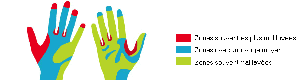 Mains propres et sales