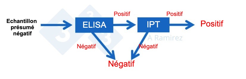 <p>Figure 3. Diagramme d&eacute;montrant l'utilisation de l'IPT comme test de confirmation pour les &eacute;chantillons qui sont inattendus positifs pour le PPA par ELISA. Un &eacute;chantillon pr&eacute;sum&eacute; n&eacute;gatif qui donne un r&eacute;sultat ELISA n&eacute;gatif est consid&eacute;r&eacute; comme n&eacute;gatif. Si cet &eacute;chantillon donne de mani&egrave;re inattendue un r&eacute;sultat positif, un test IPT peut &ecirc;tre effectu&eacute; comme test de confirmation. C'est-&agrave;-dire que si le test IPT est positif, l'&eacute;chantillon est confirm&eacute; comme &eacute;tant positif. Si le test IPT est n&eacute;gatif, nous supposerons qu'il s'agit d'un faux positif tant que la PCR est &eacute;galement n&eacute;gative pour confirmer qu'il n'y a pas d'infection r&eacute;cente.</p>
