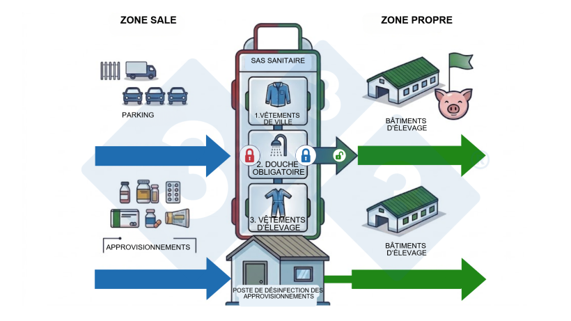 Figure 1. Infographie du principe « Ne pas entrer », illustrant le flux obligatoire depuis la zone sale vers la zone propre à travers les contrôles sanitaires et la désinfection des approvisionnements.